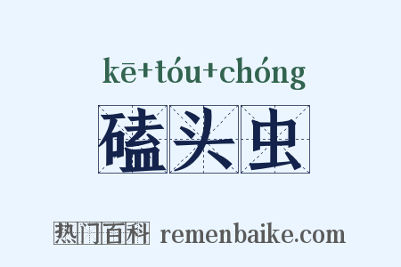 磕头虫是什么意思的图片